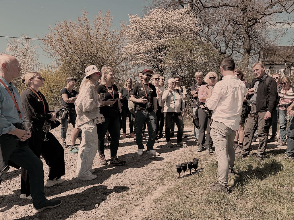 Krimi-Weinwanderung — Rätsel unter freiem Himmel