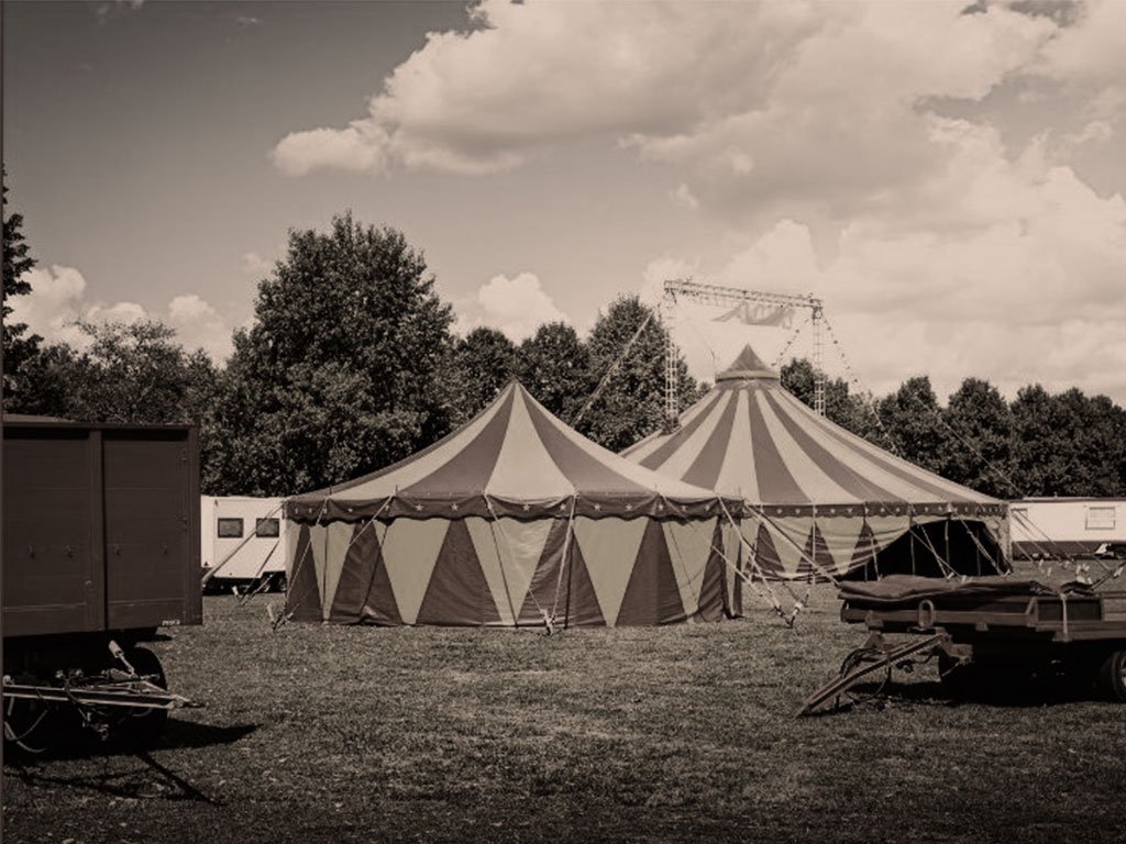 Zirkus-Krimi — Manege frei für Ermittler